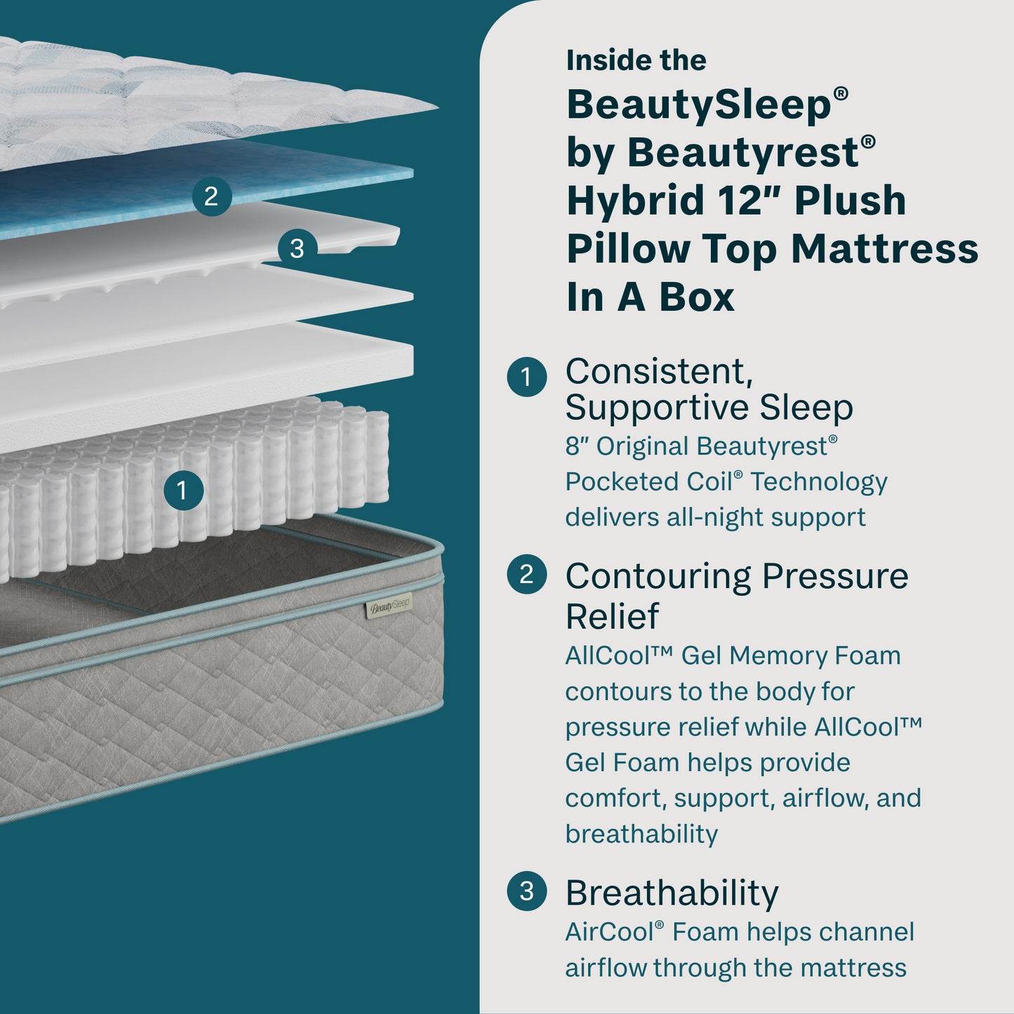 Inside the Beauty Sleep quilted 12-inch plush mattress with text on a teal background