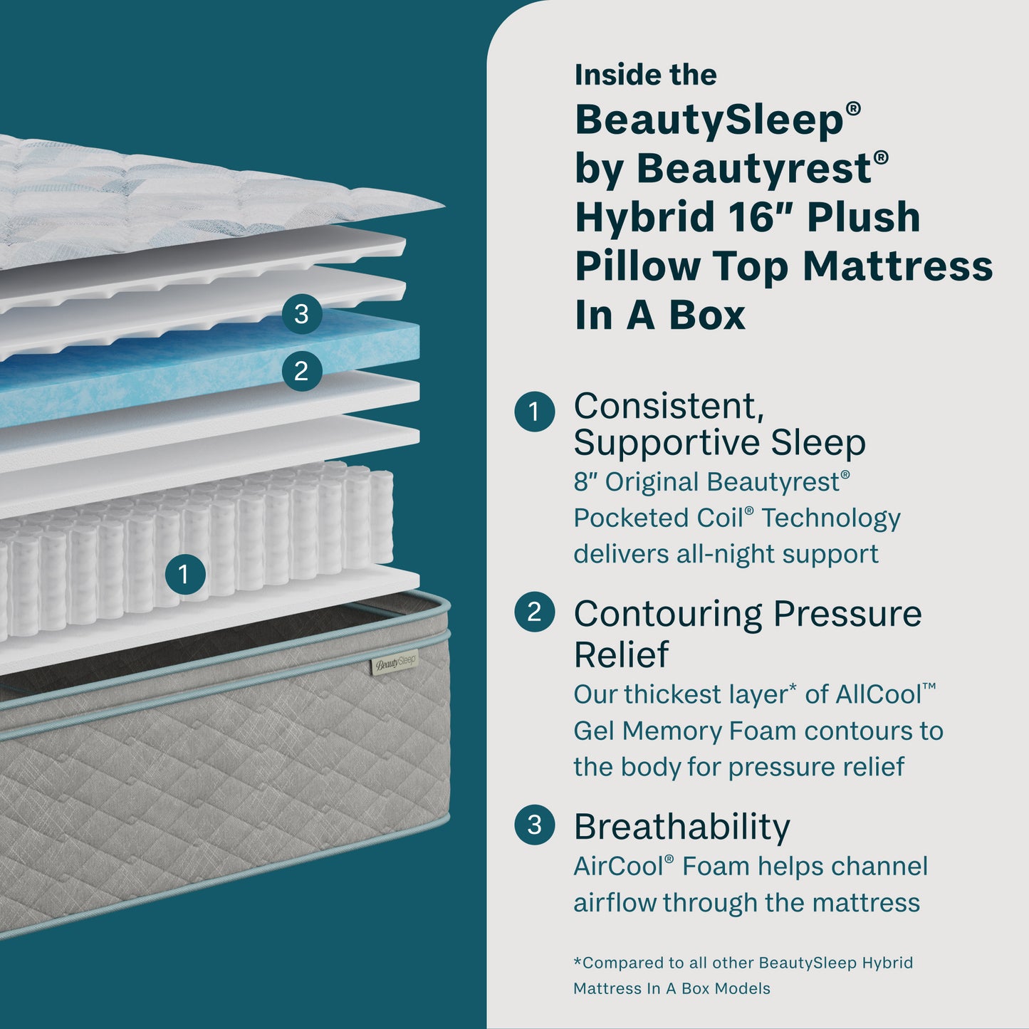 Inside the Beauty Sleep quilted 16-inch plush pillow top mattress with text on a teal background
